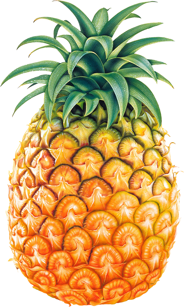 Riz Thaï aux crevettes et ananas